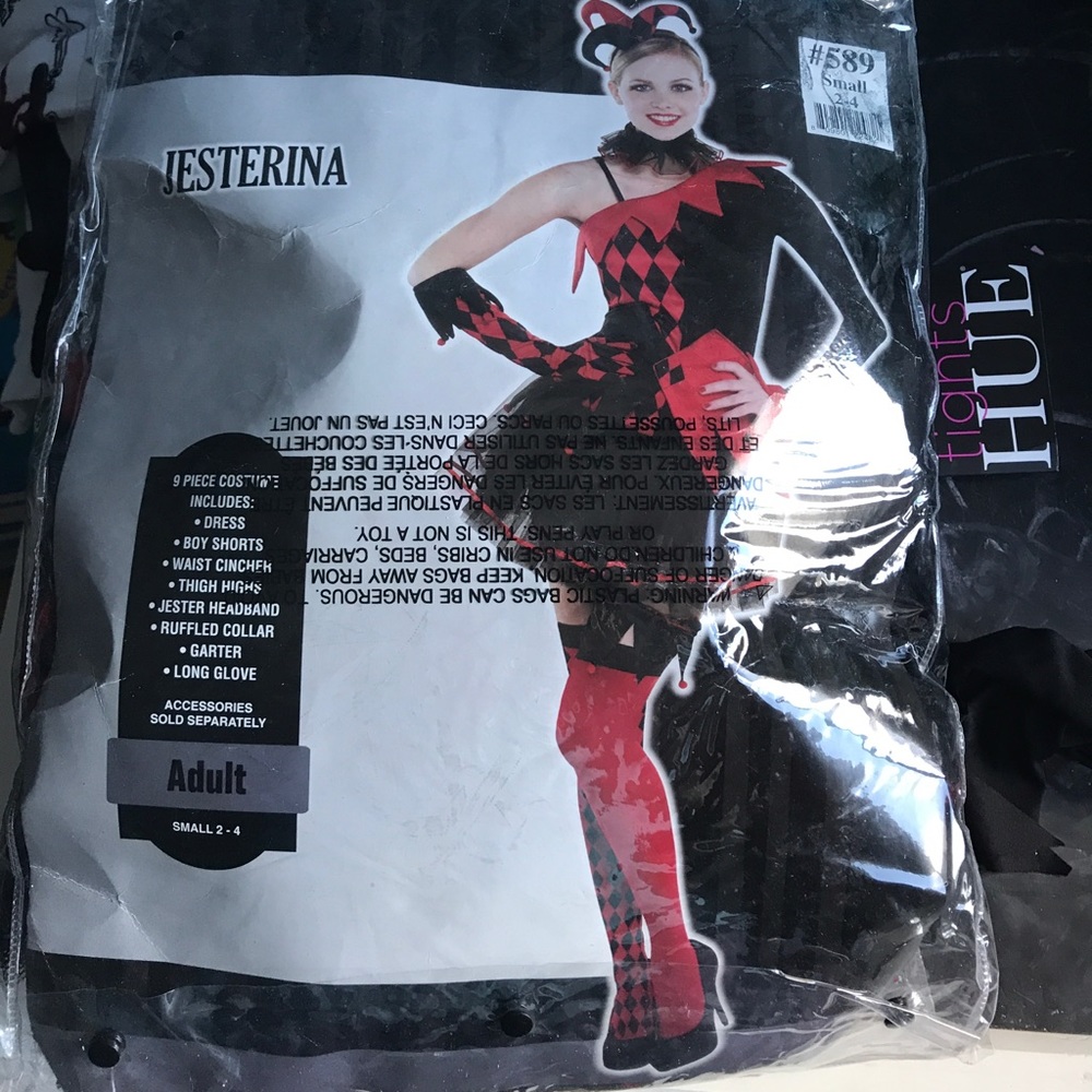 COPY - Jesterina costume